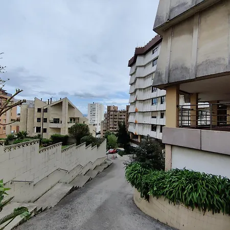 Delfines 산탄데르