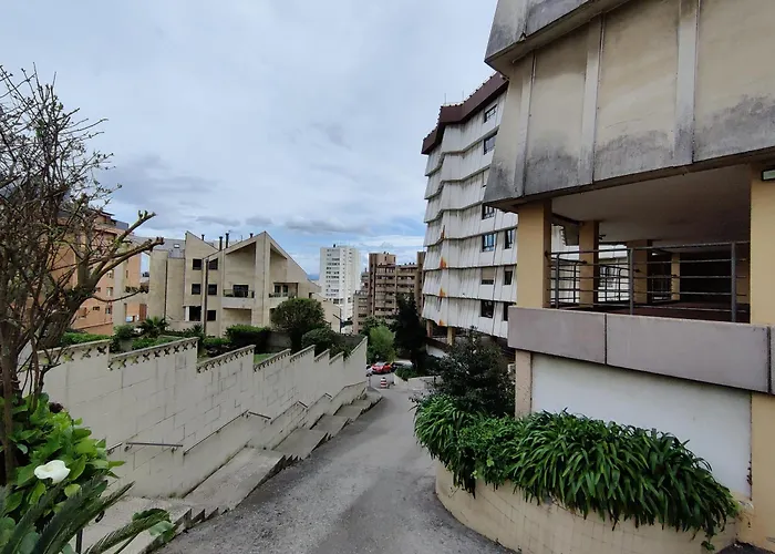 Delfines 산탄데르